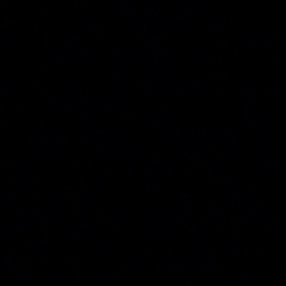 aamber29
